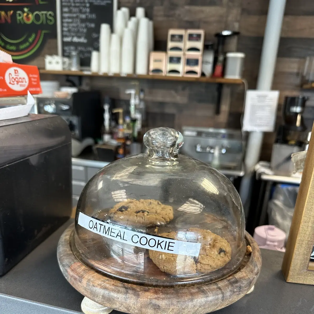Oatmeal Cookie