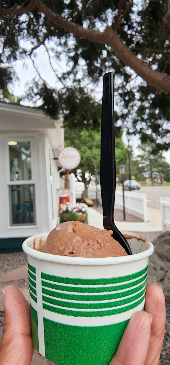 Chocolate Ice Cream