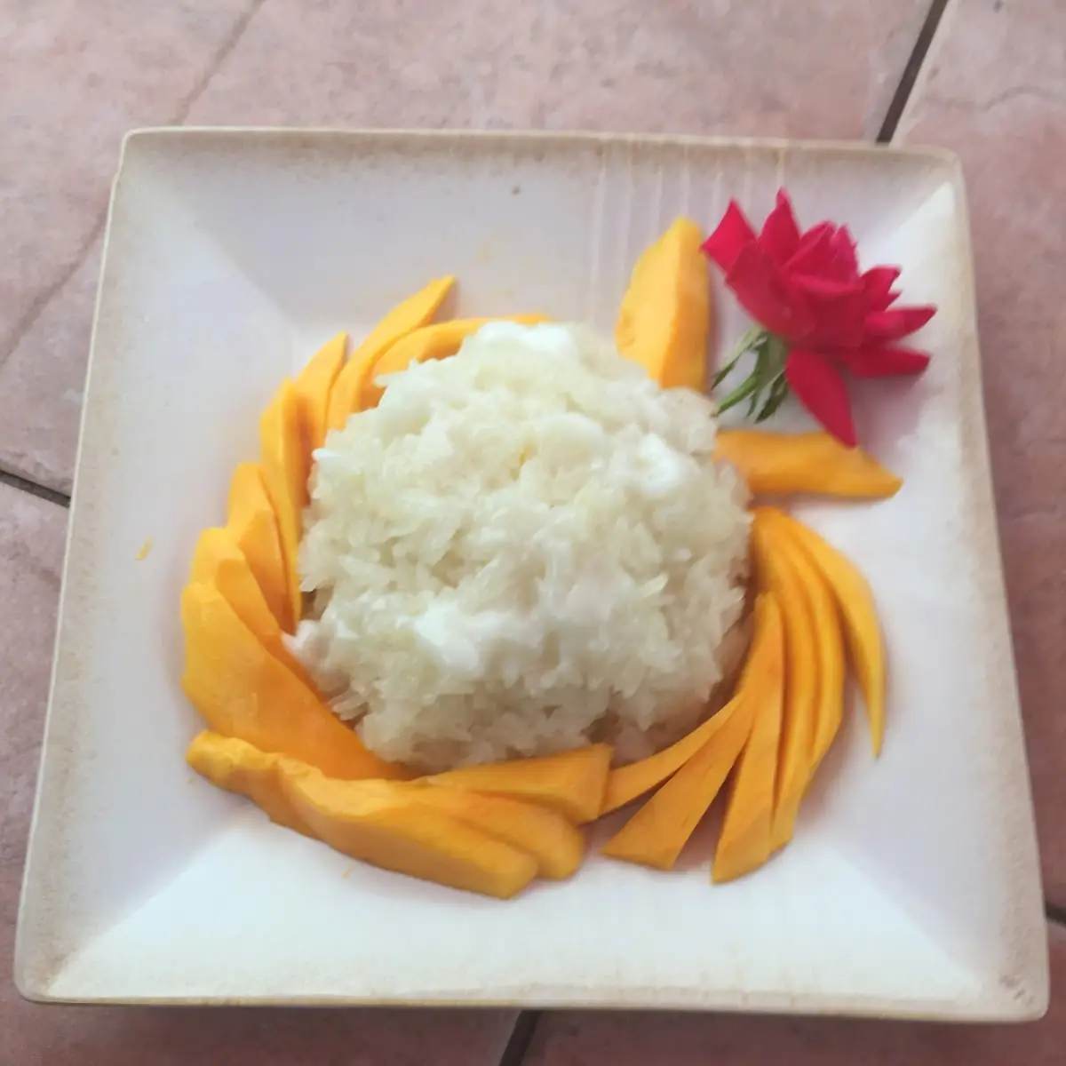 Sweet Sticky Rice & Mango