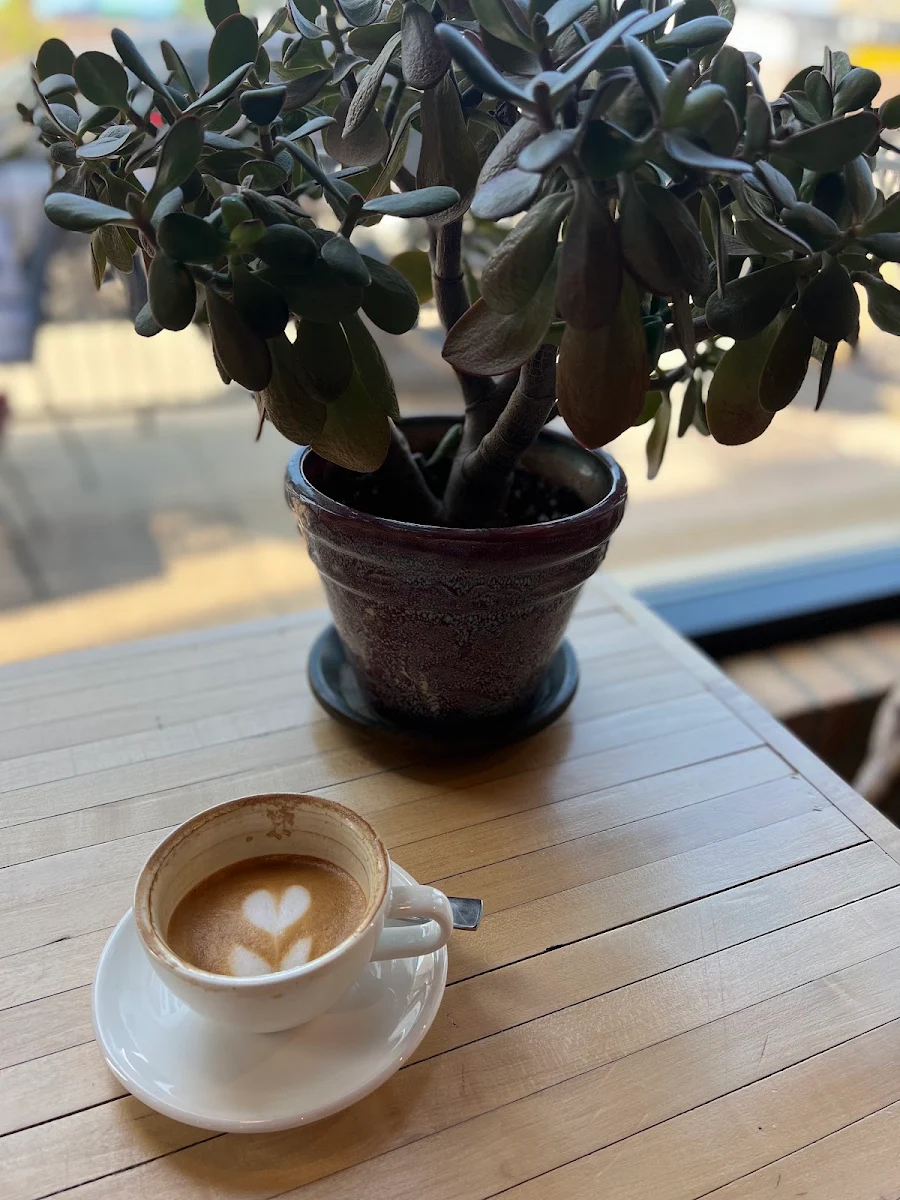 Hot Cappuccino