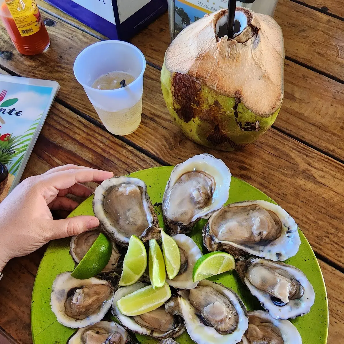 Ostras Oysters