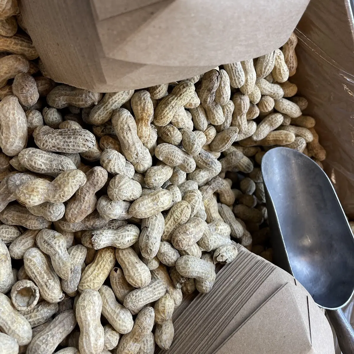 Free Peanuts in Shell