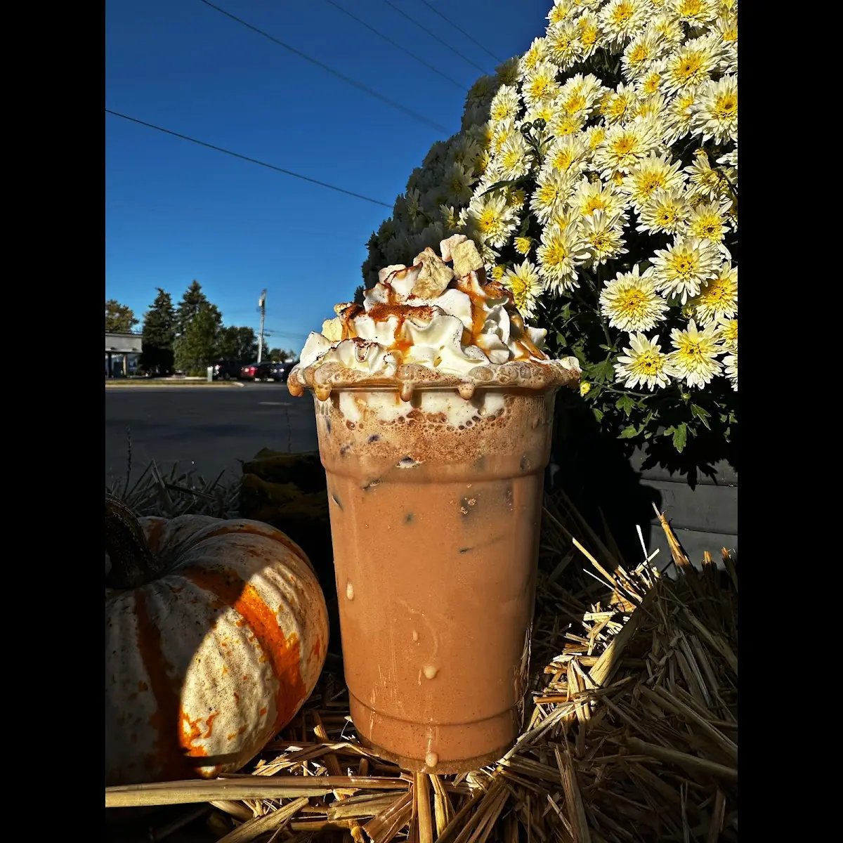 Frozen Hot Chocolate