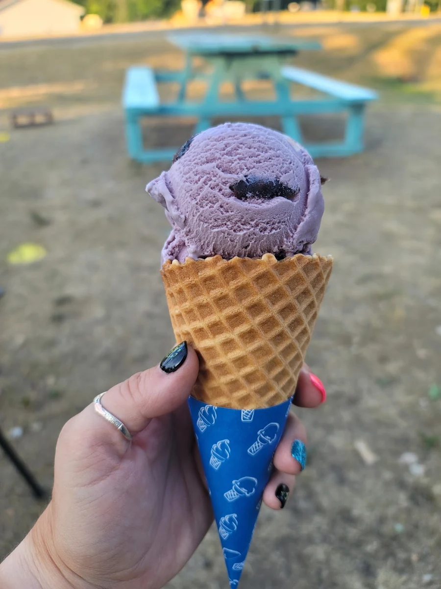 Black Cherry Ice Cream Cone
