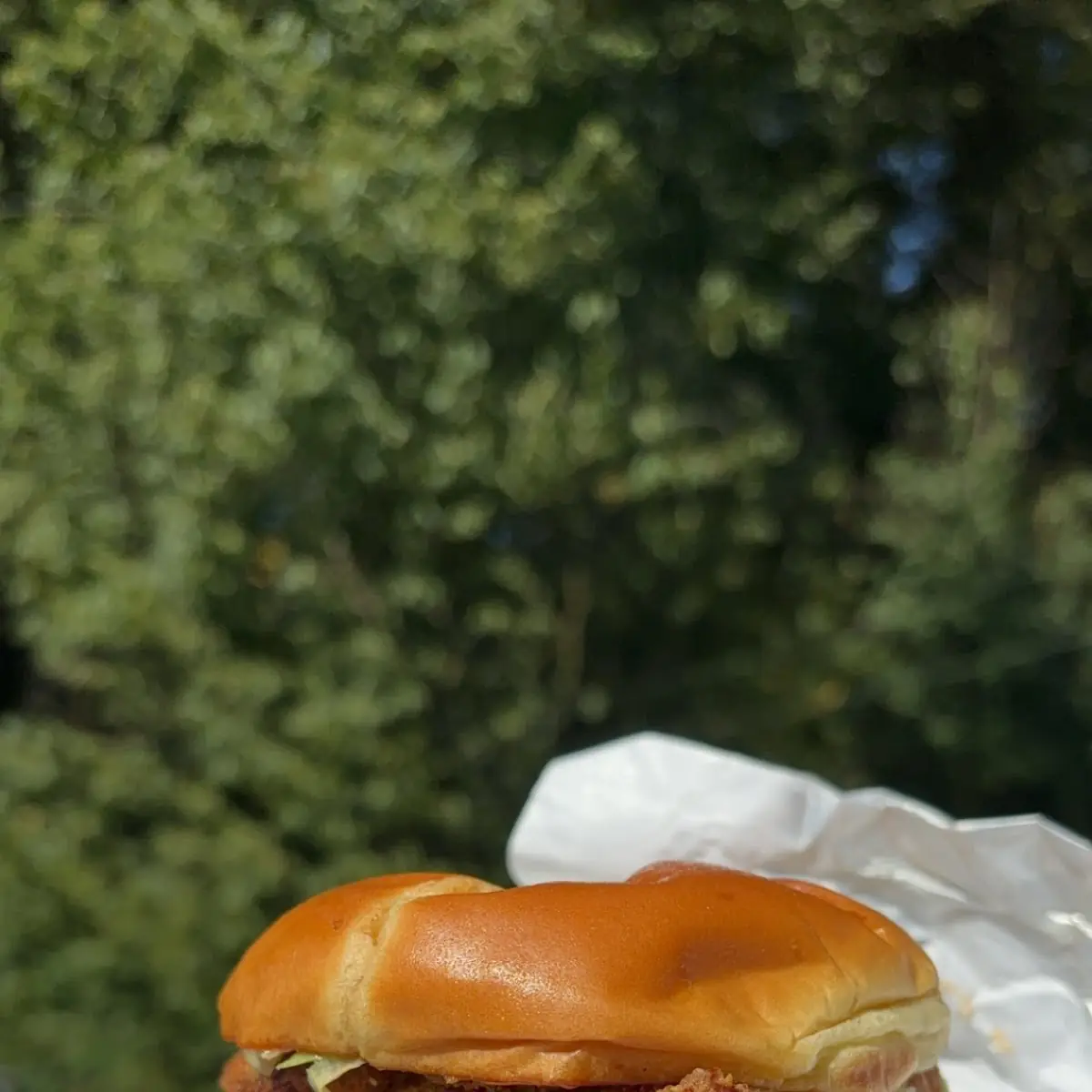 Chicken Burger