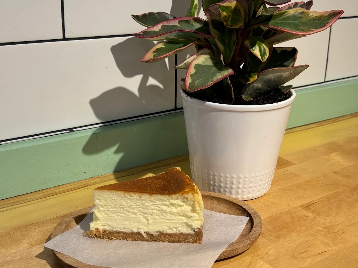 Vanilla Bean Cheesecake Slice