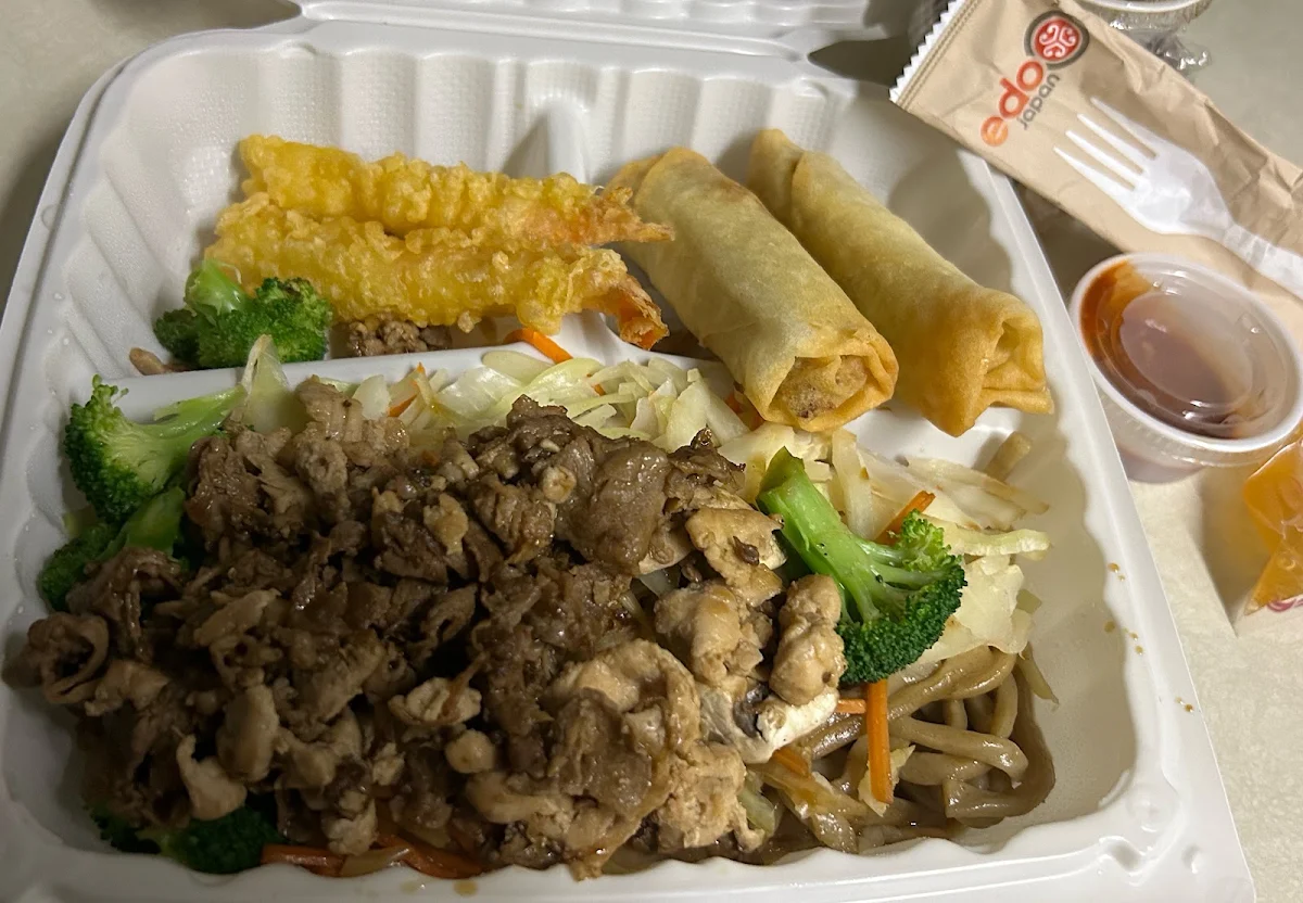 Beef and Chicken Bento
