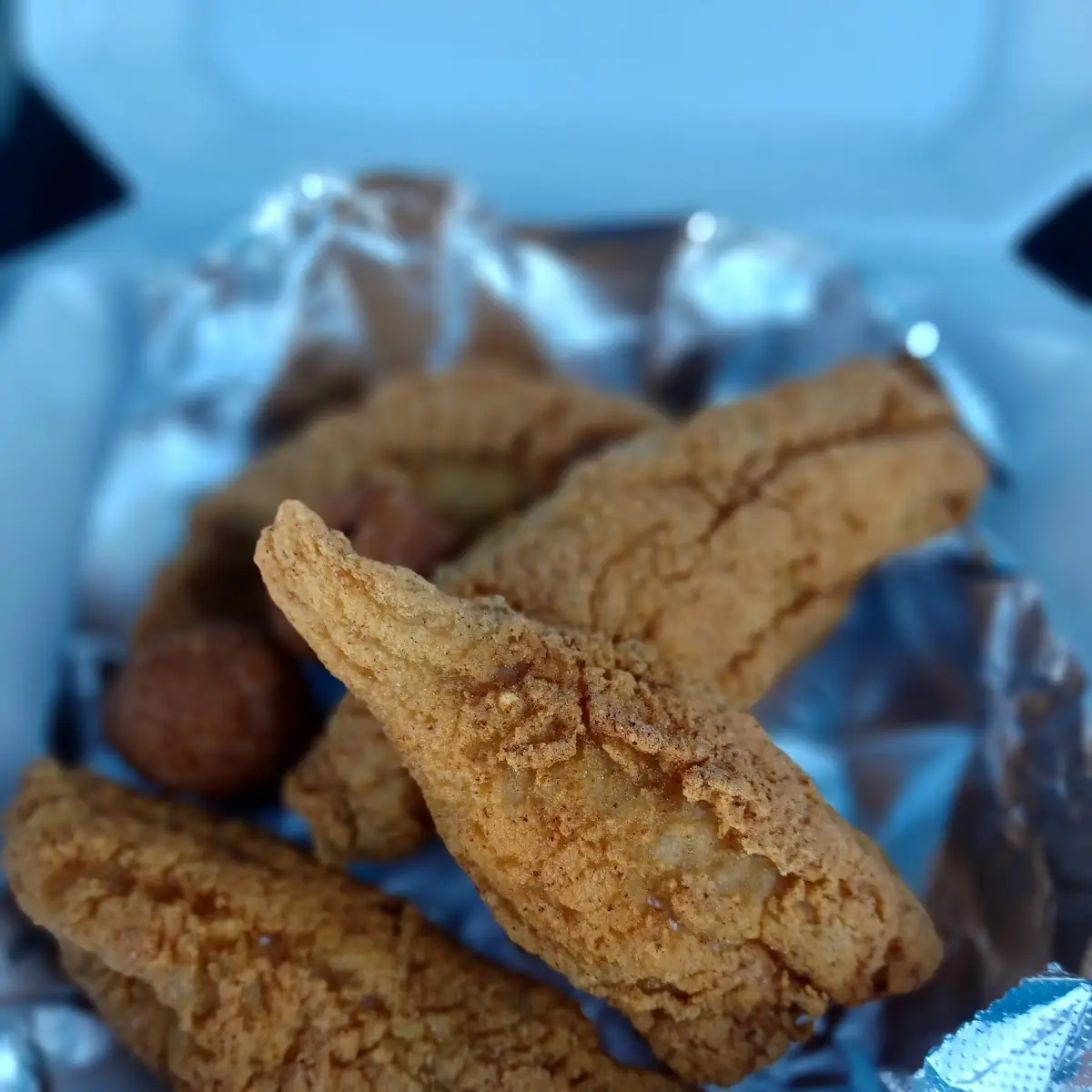 Ocean Perch