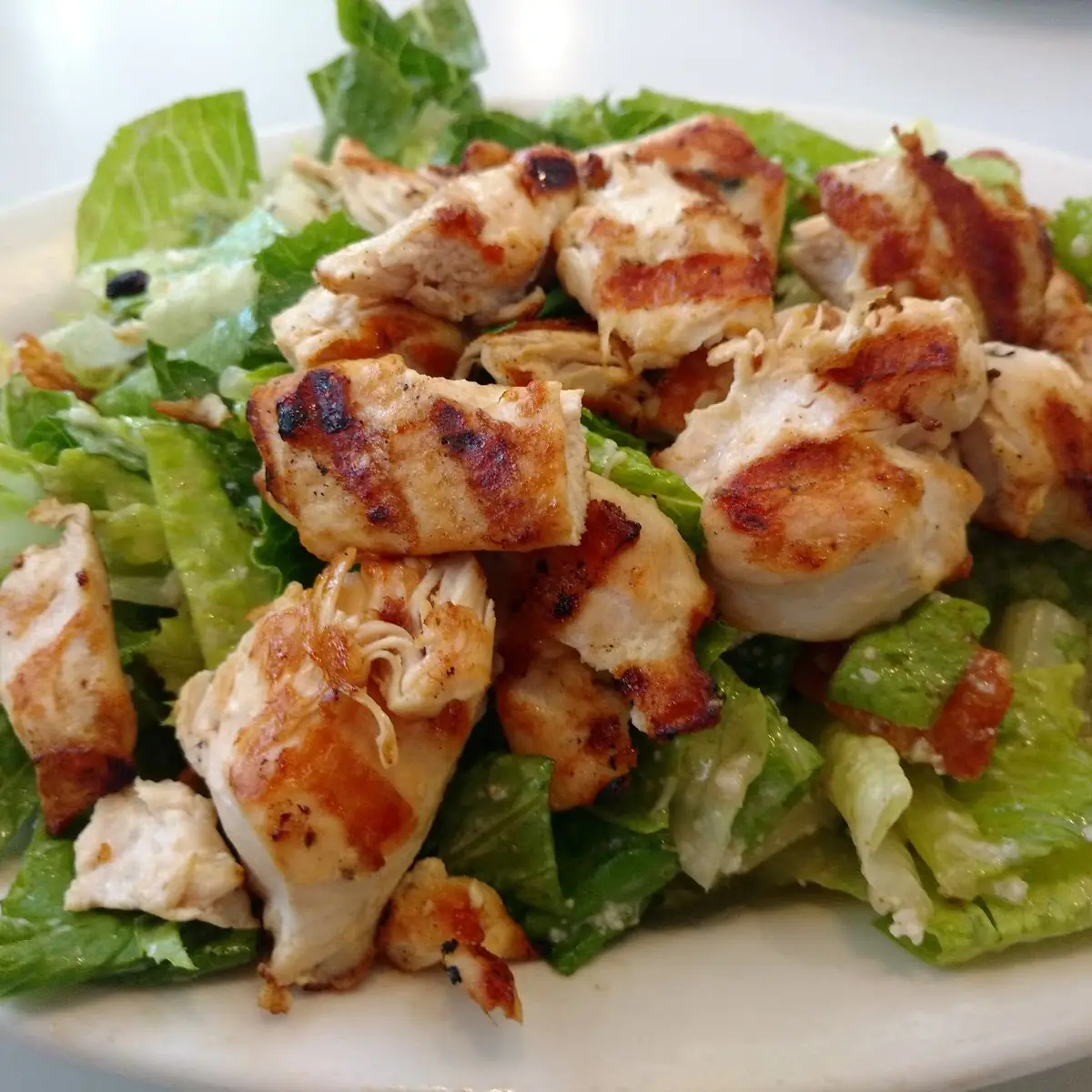 Grilled Chicken Caesar Salad
