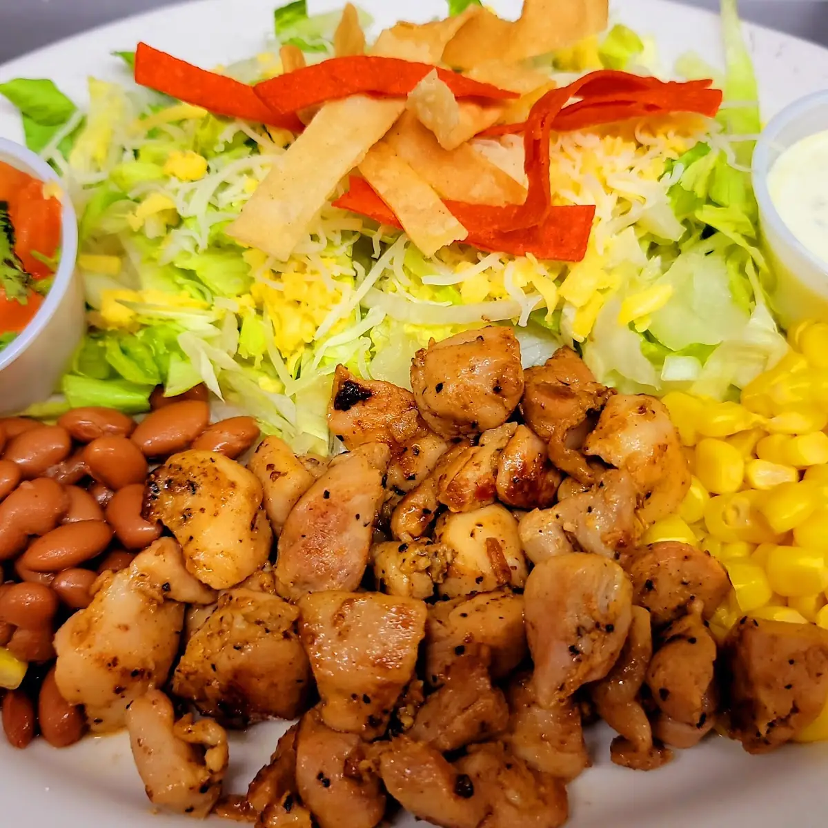 Fiesta Chicken Salad-Special