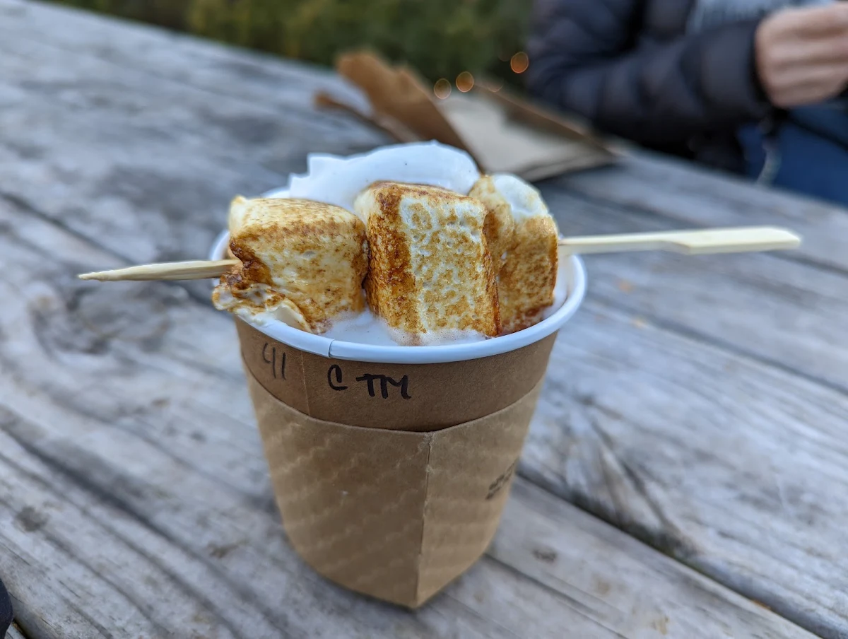 Hot Chocolate with Toasted Marshmallow