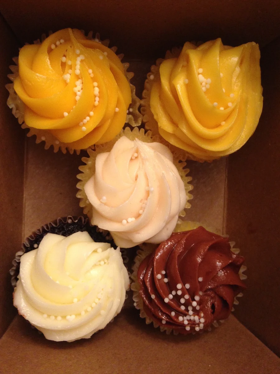 Mini Cupcakes