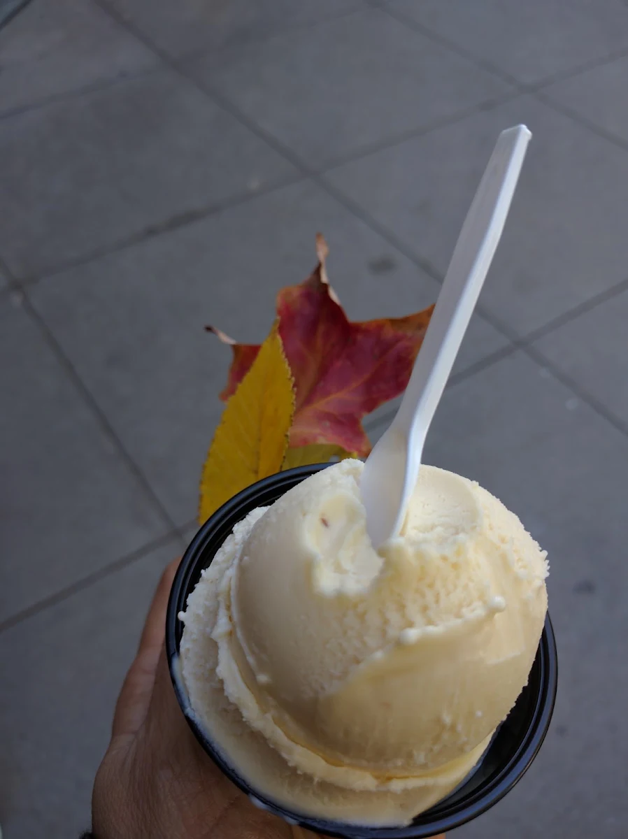 Vanilla Ice Cream