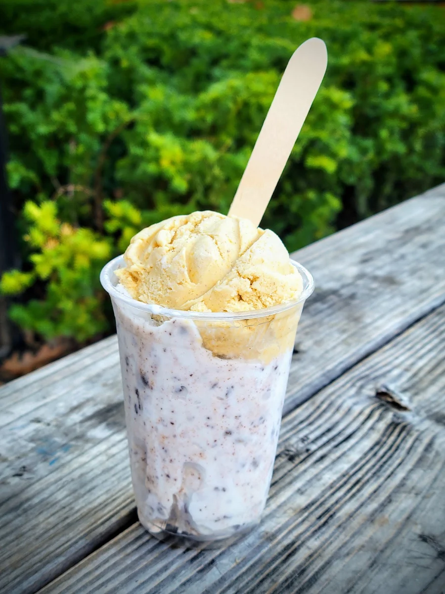Vegan Mint Chocolate Chip