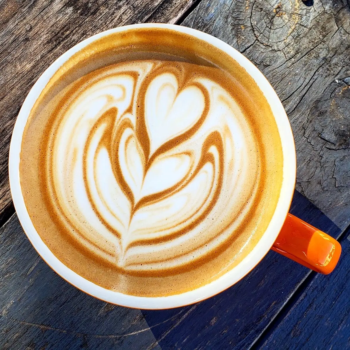 Cappuccino