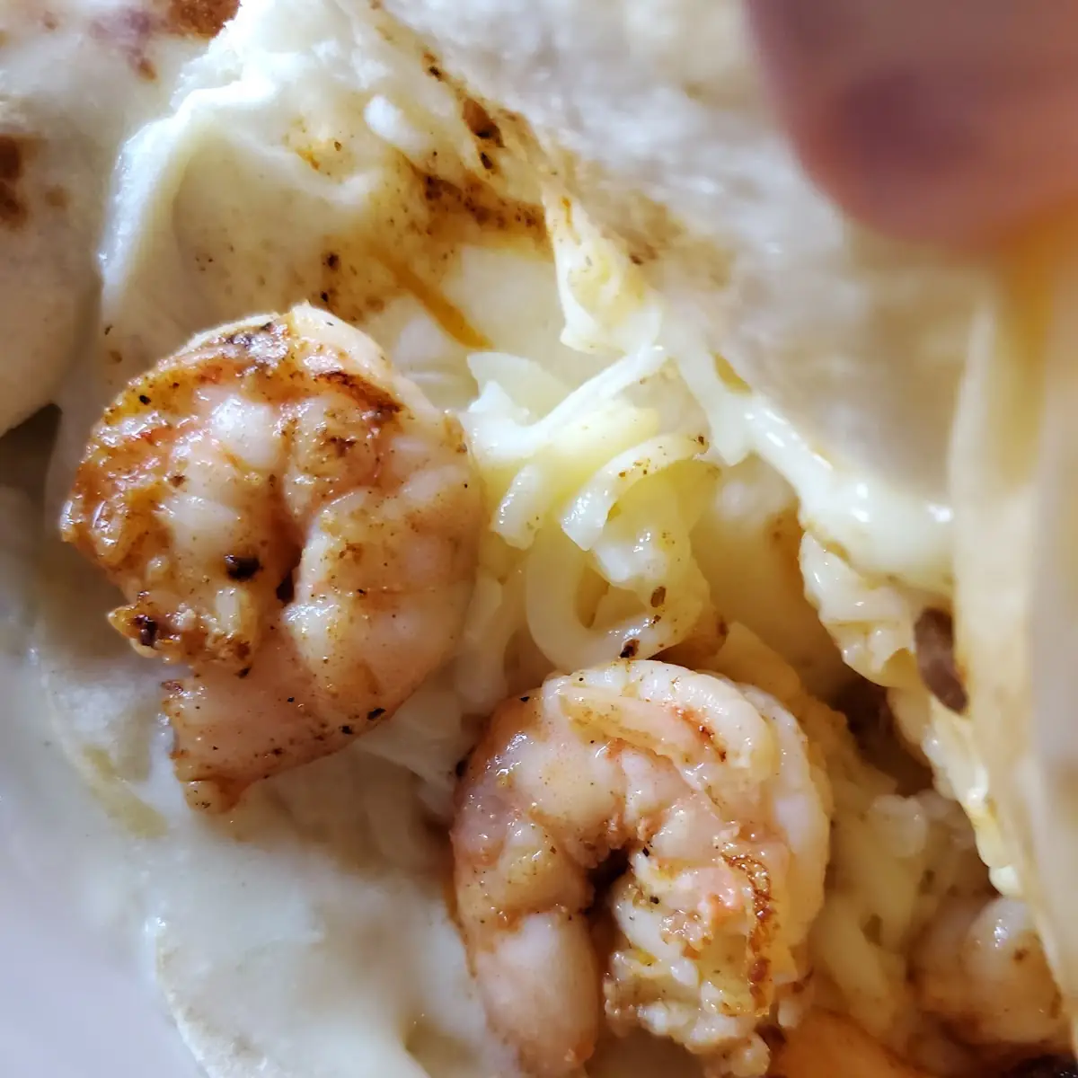 Shrimp Tacos