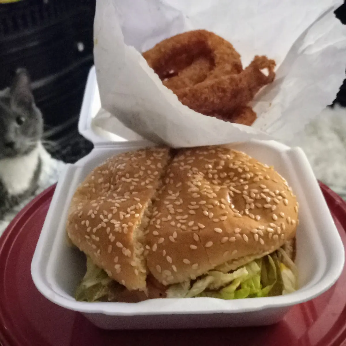 Hamburger & Onion Rings
