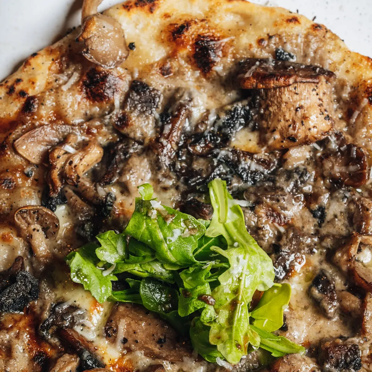 Truffle Wild Mushroom Flatbread