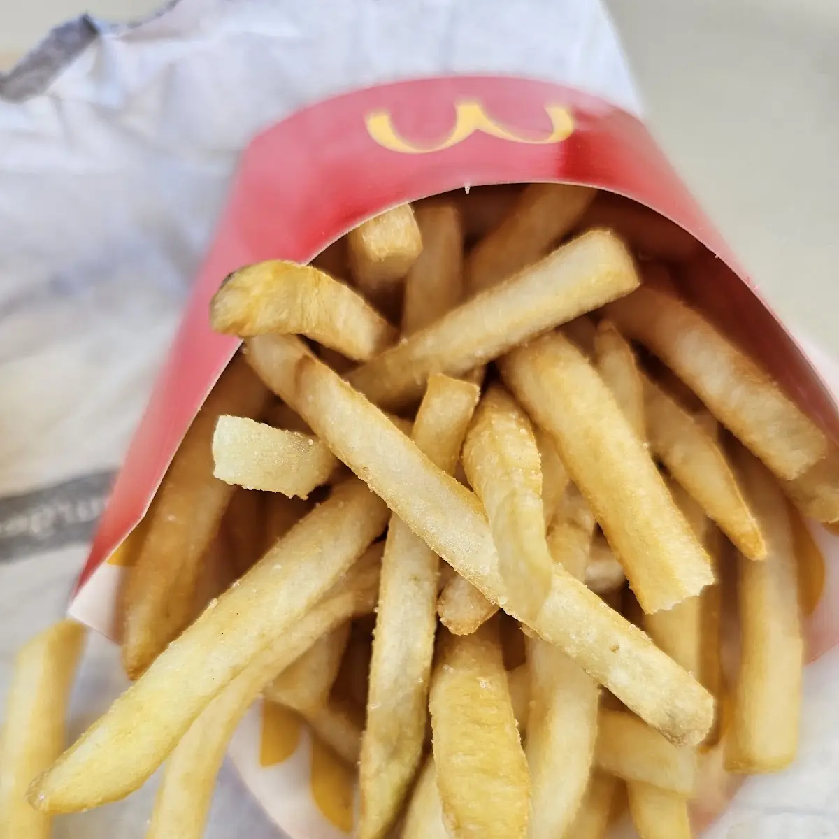 World Famous Fries