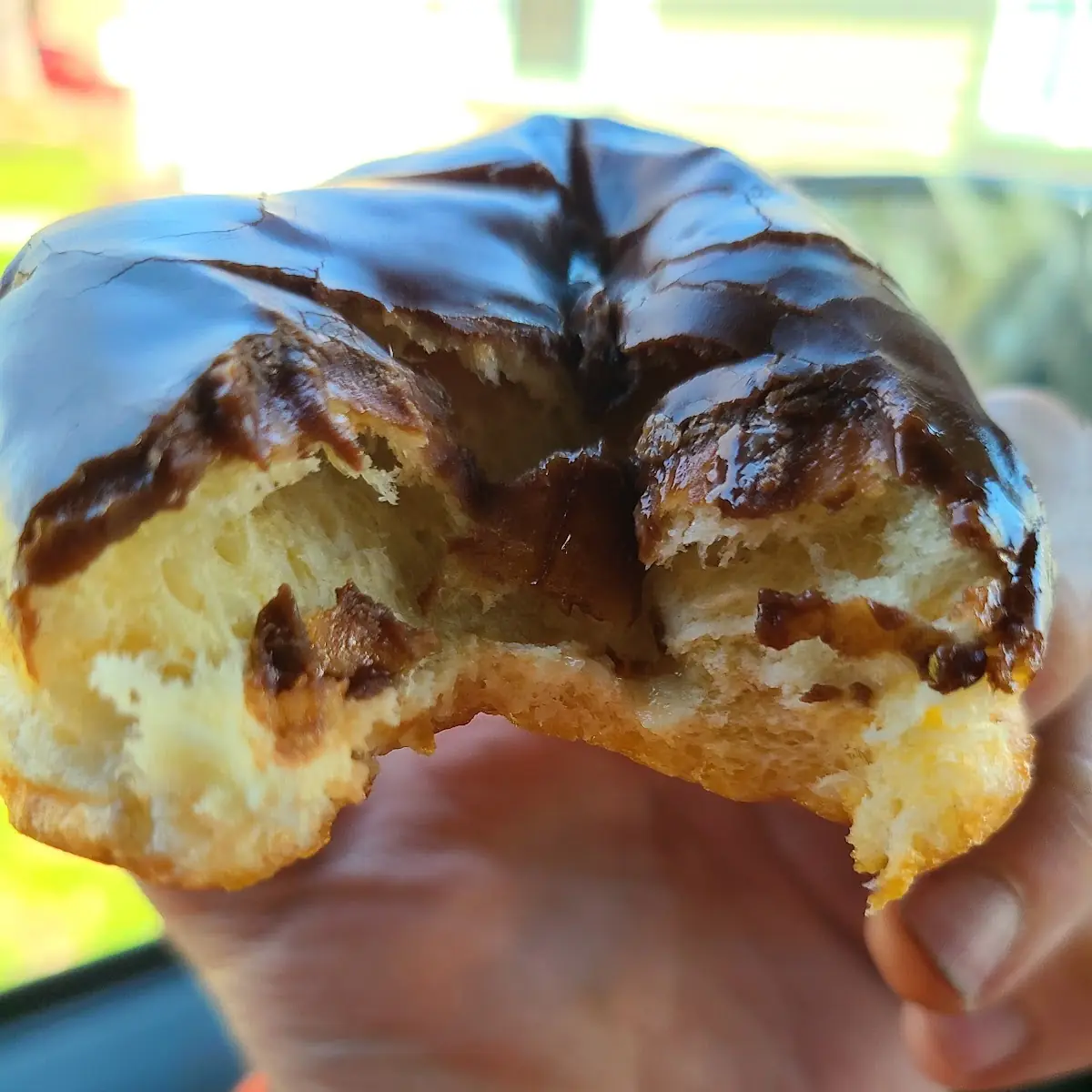 Boston Creme Donut