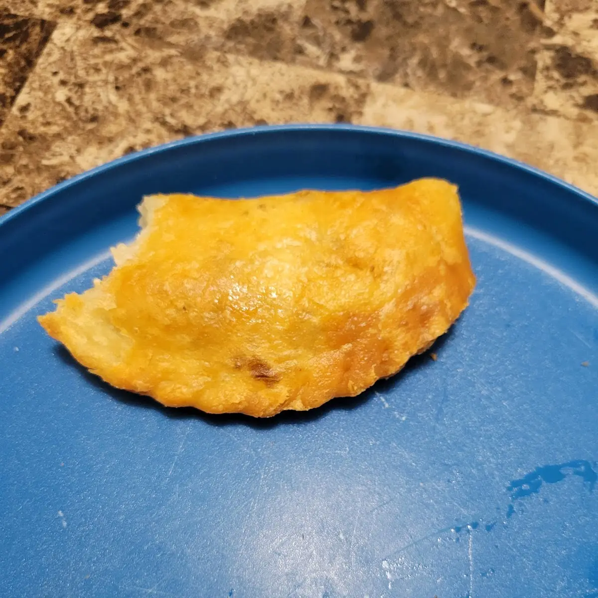 Chicken Empanada