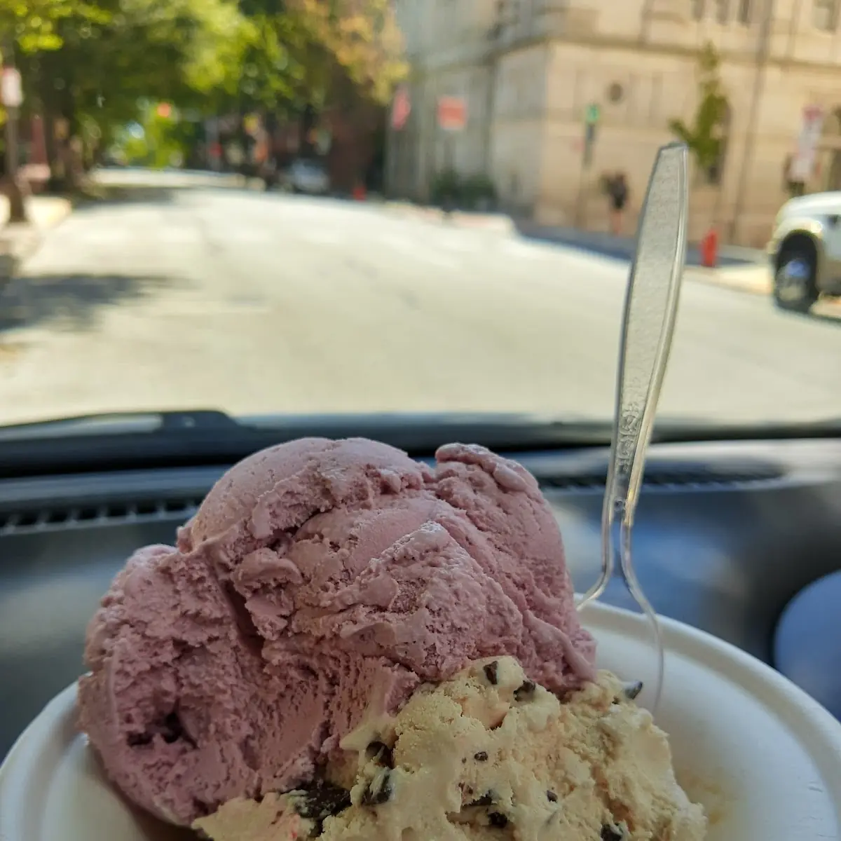 Raspberry and Chocolate Chip Cookie Dough
