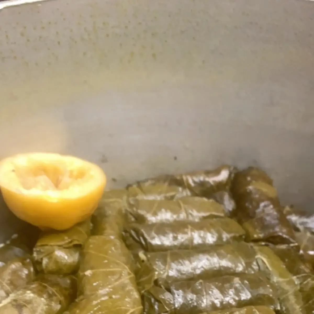 Stuffed Grape Leaves