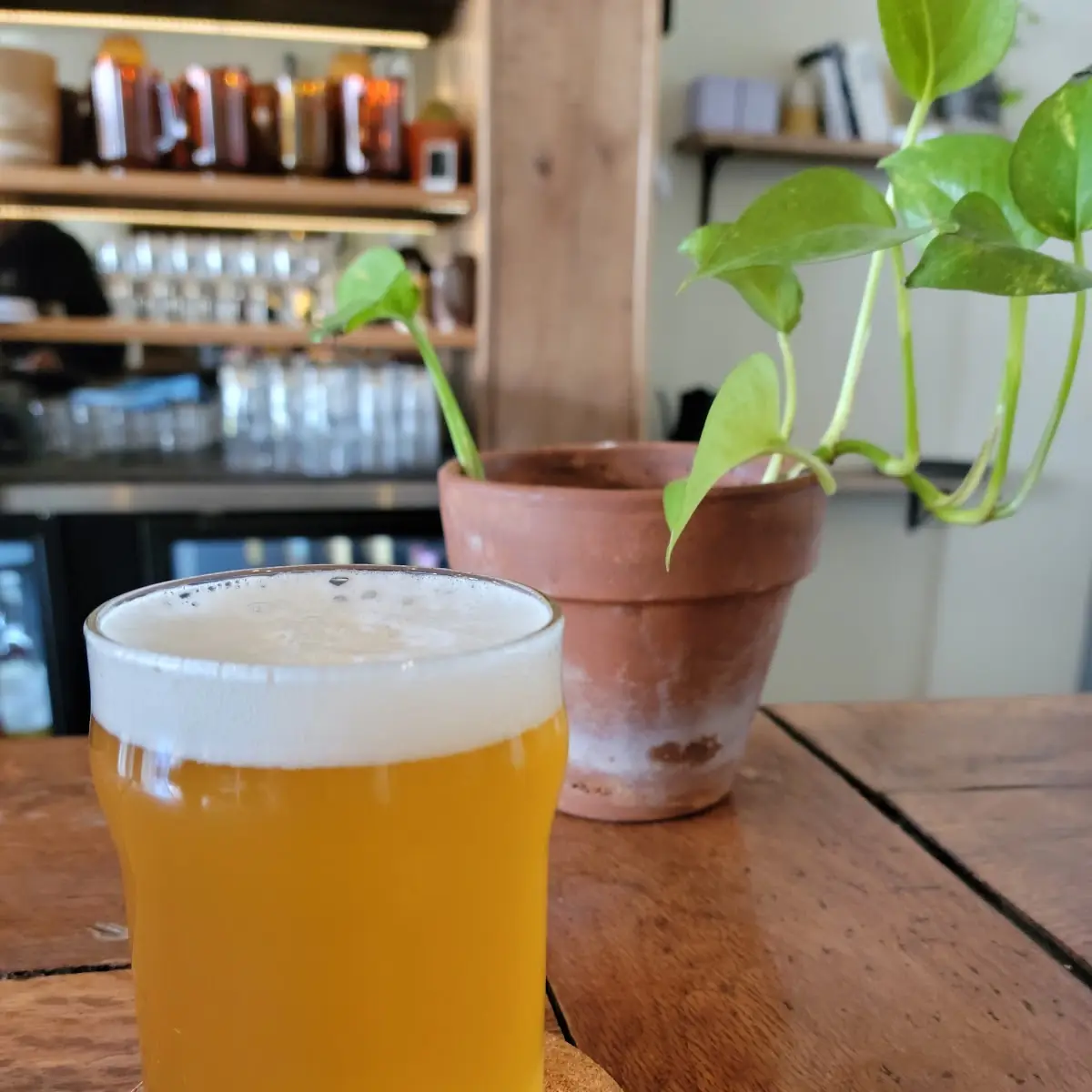 Hazy IPA