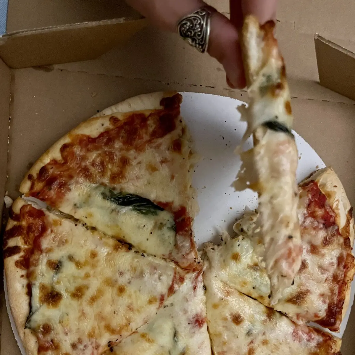 Double Dough Cheese and Basil Pizza