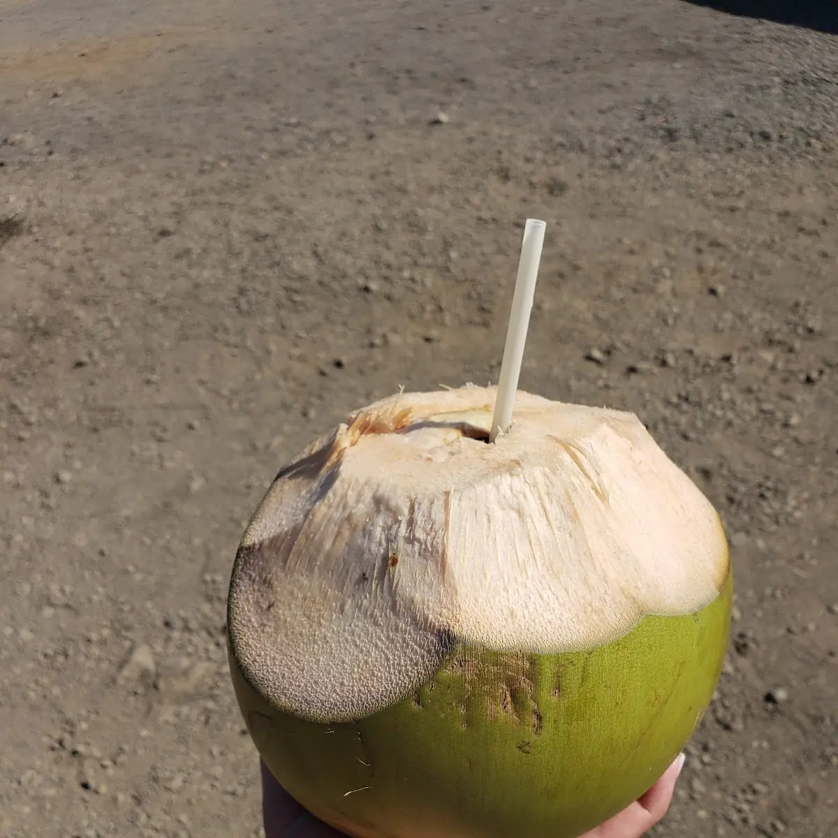 Fresh Coconut Water