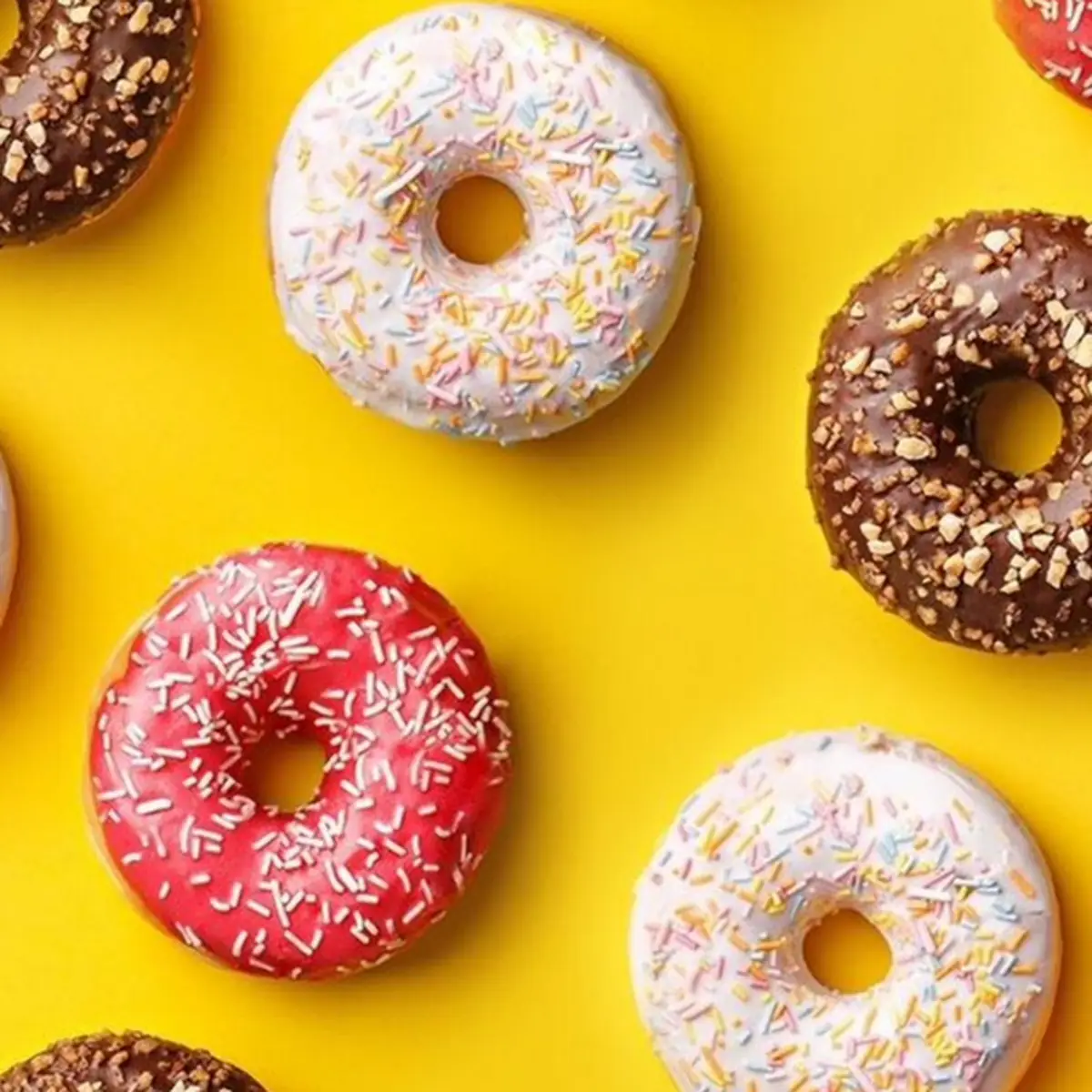 Doughnut