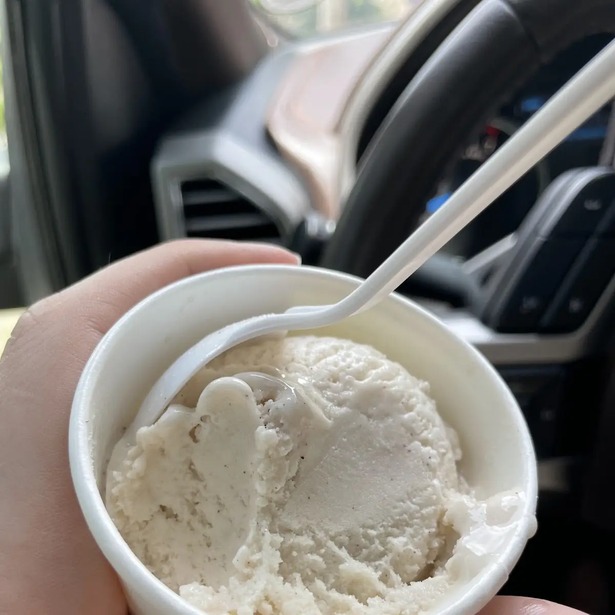 Vanilla Bean