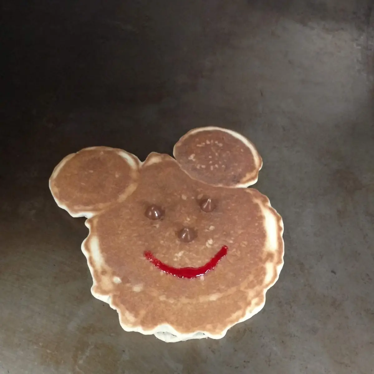 Bear Chocolate Chip Cookies