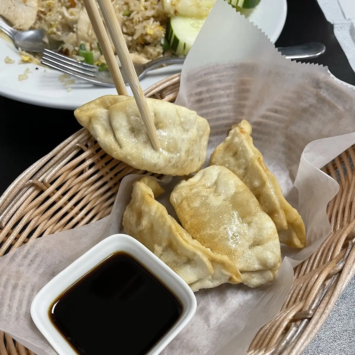 Fried Dumplings