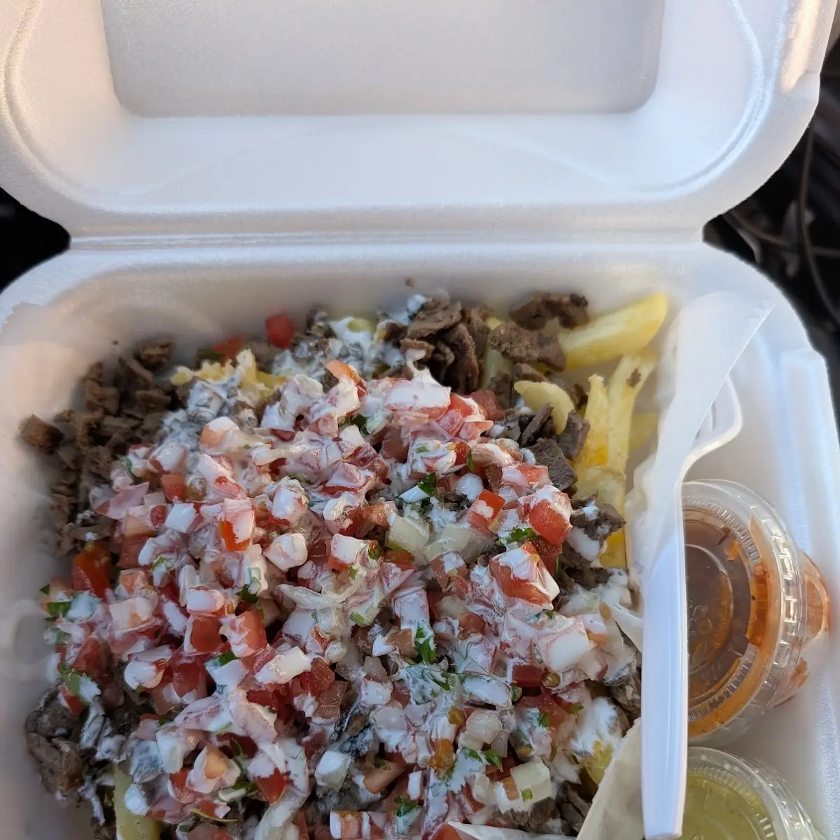 Carne Asada Fries