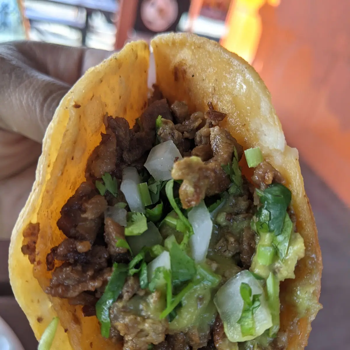 Carne Asada Taco with Salsa Verde
