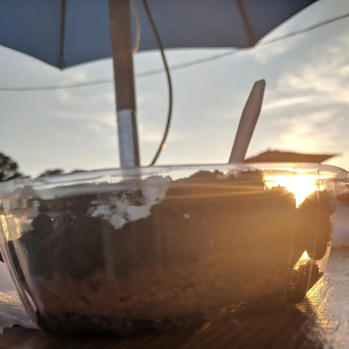 Coconut Water