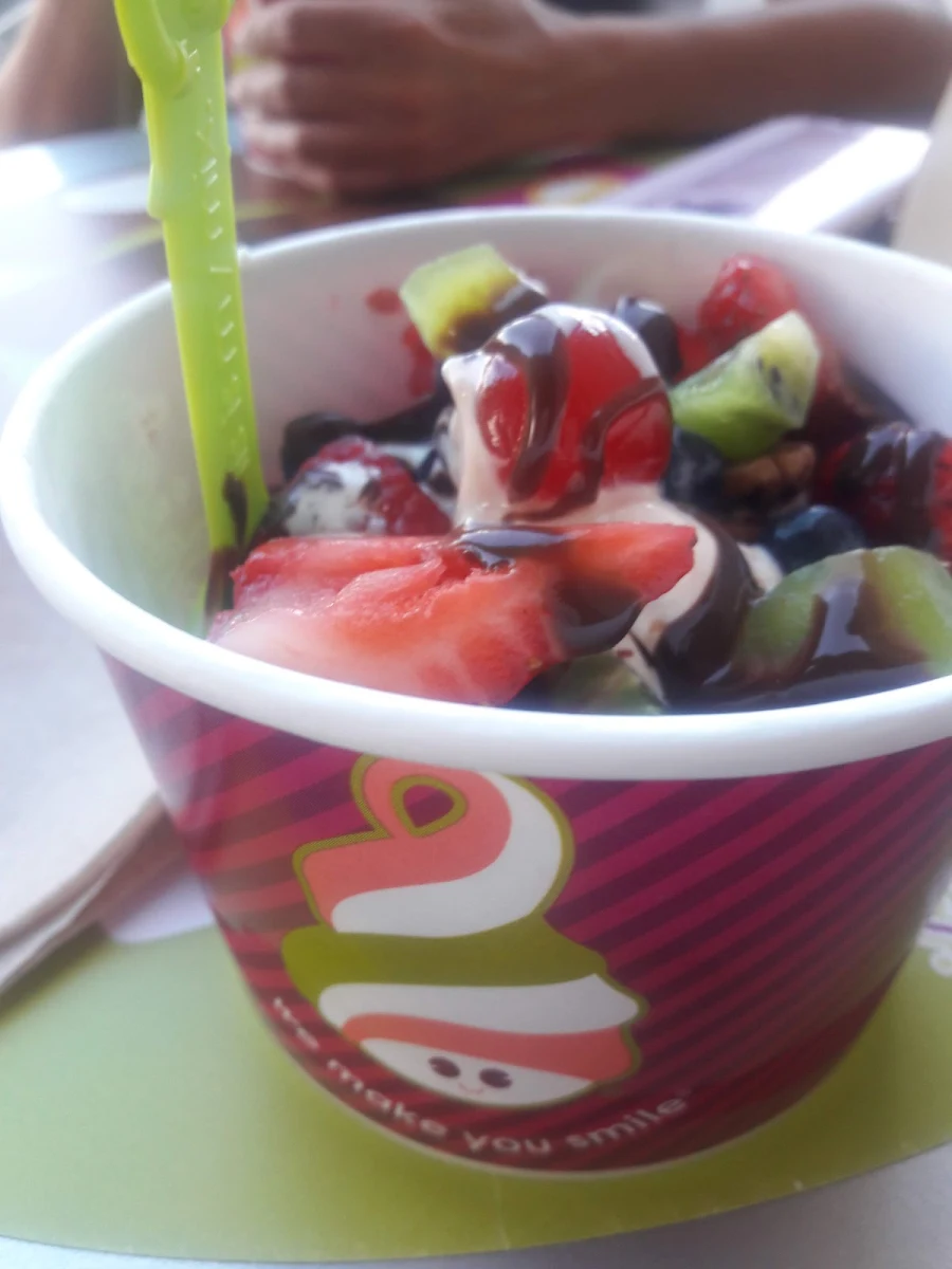 Frozen Yogurt