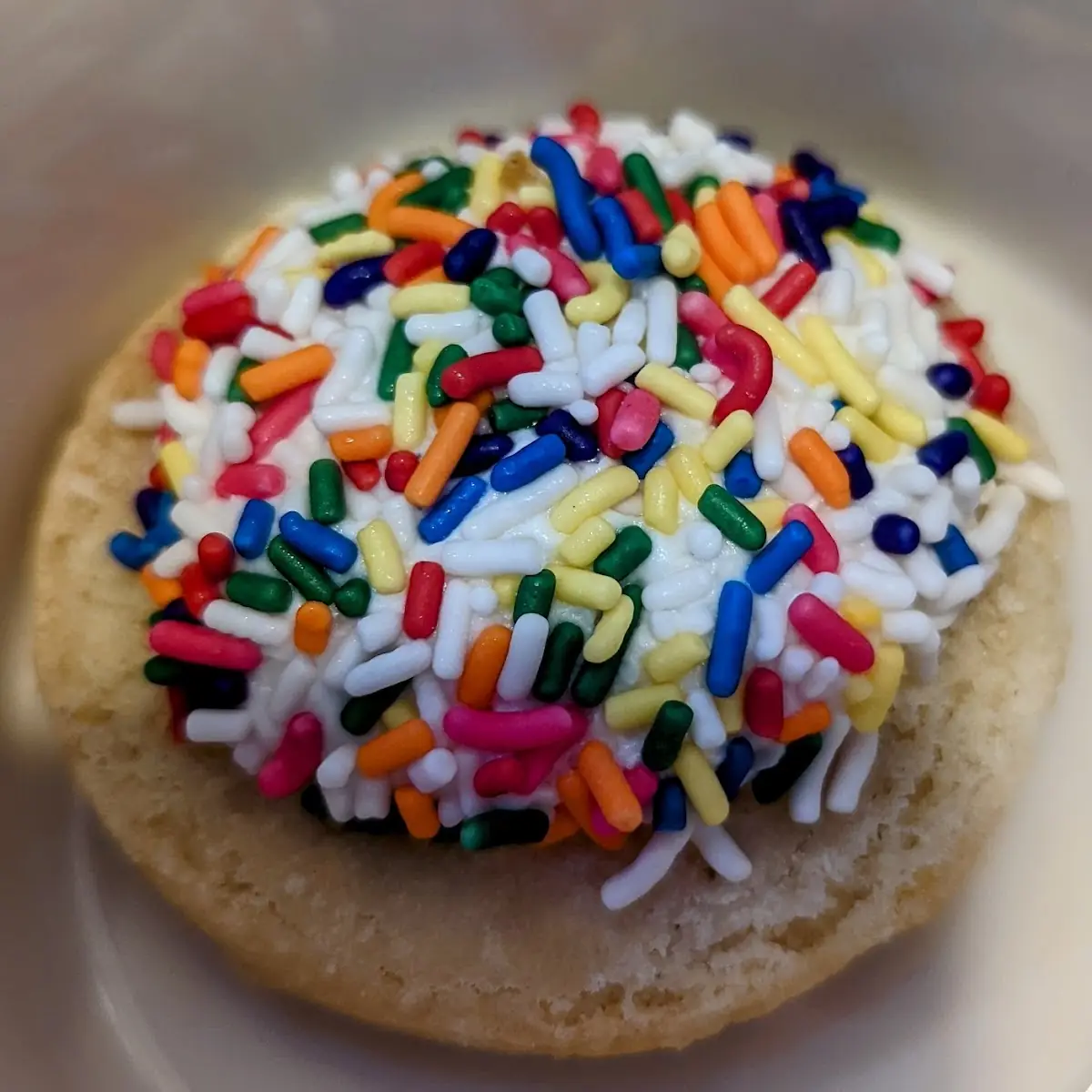 Sugar Cookie