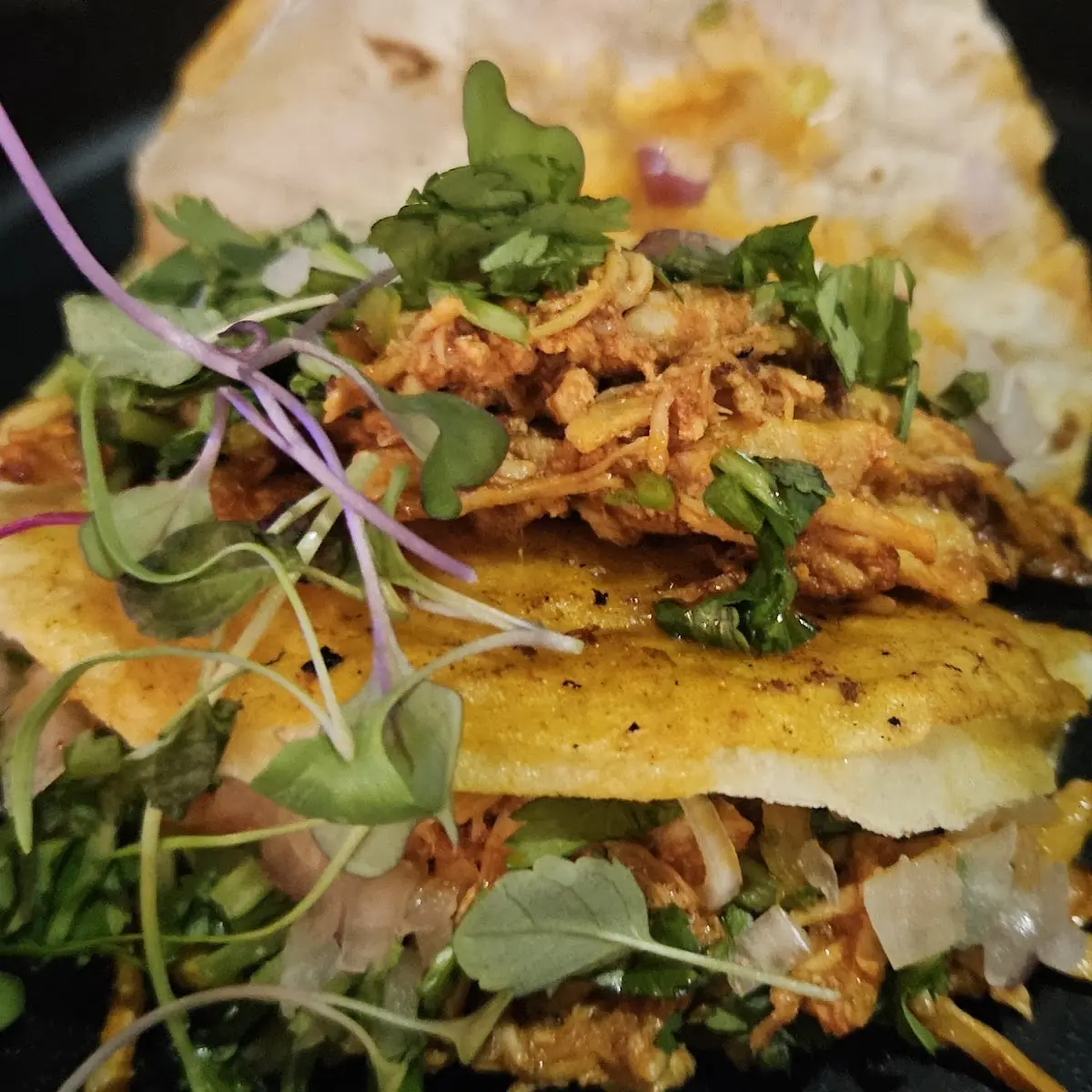 Carnitas Taco