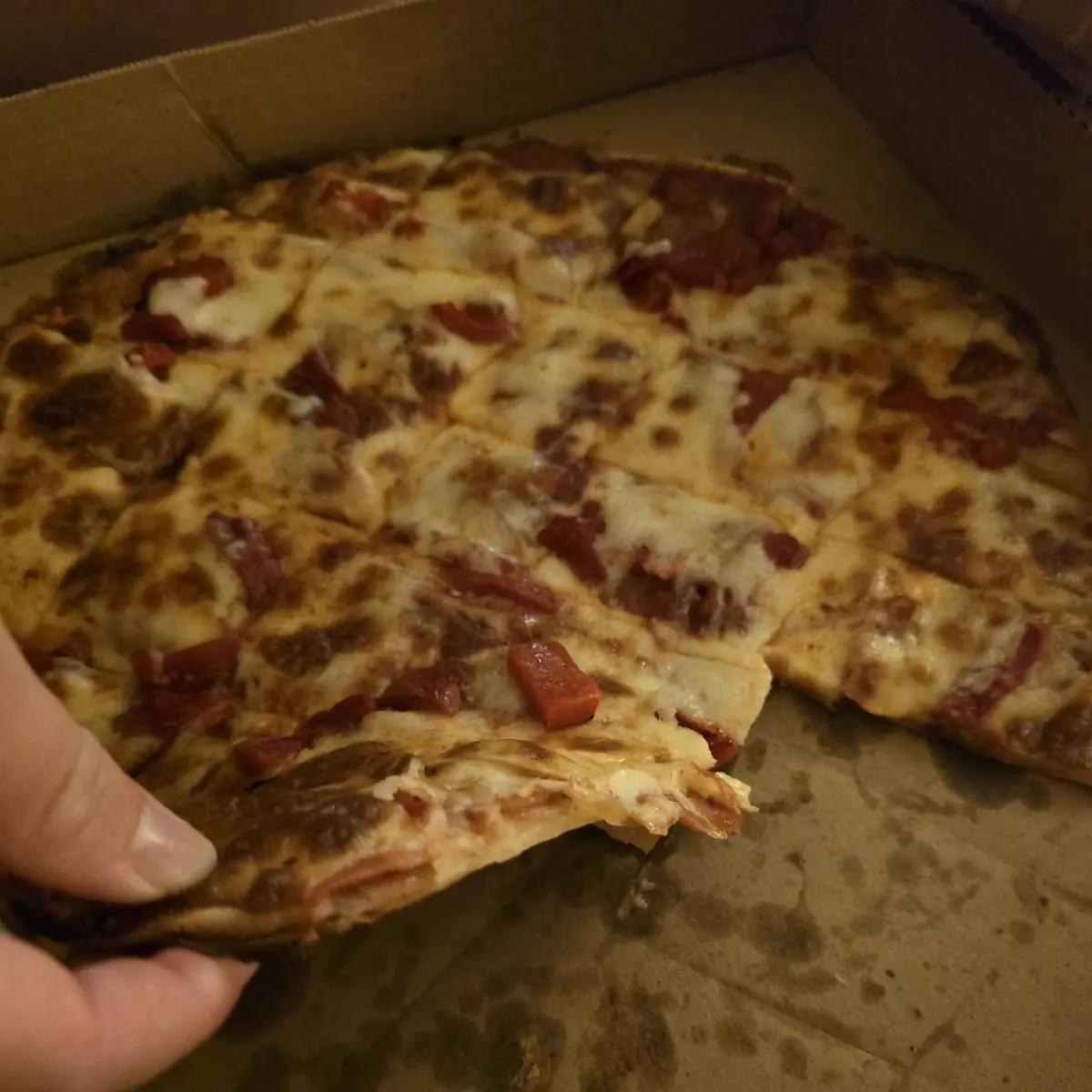 Meat Pizza