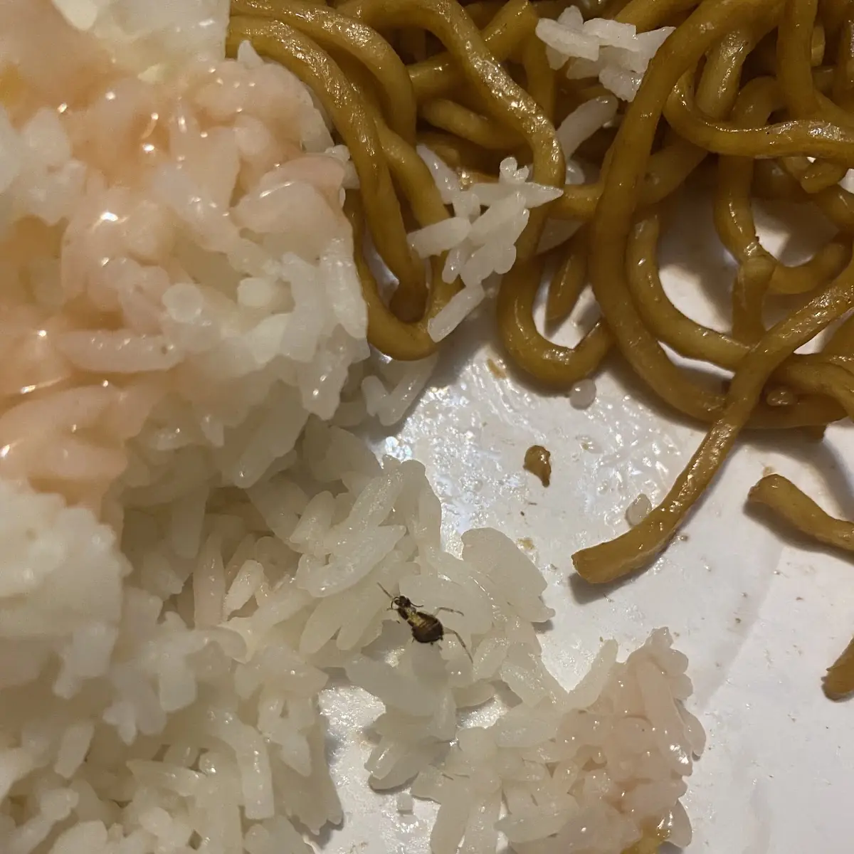 White Rice