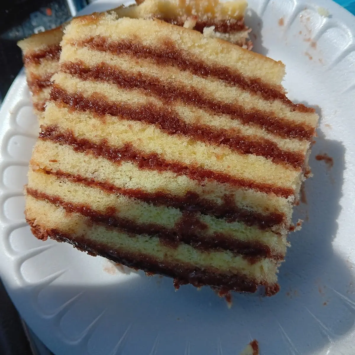 Home Made Multilayer Chocolate Cake Slice