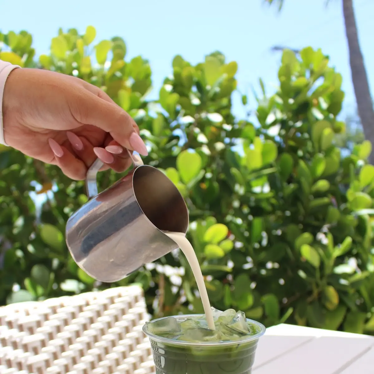 Iced Matcha Latte