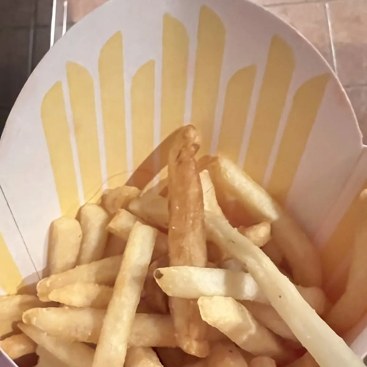 World Famous Fries