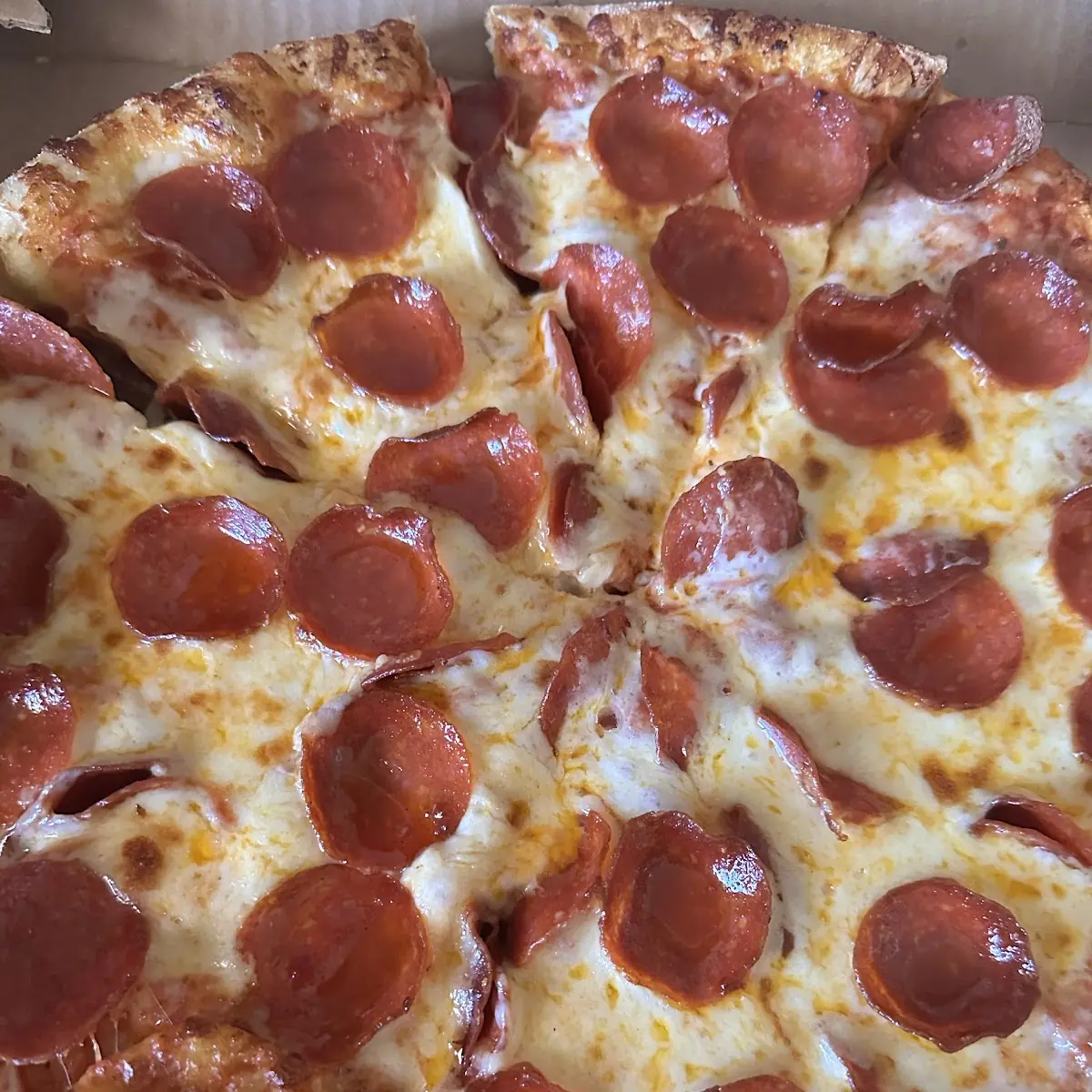 Extra Pepperoni Pizza