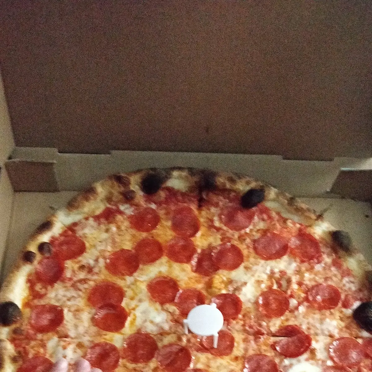14 Cheese Pizza