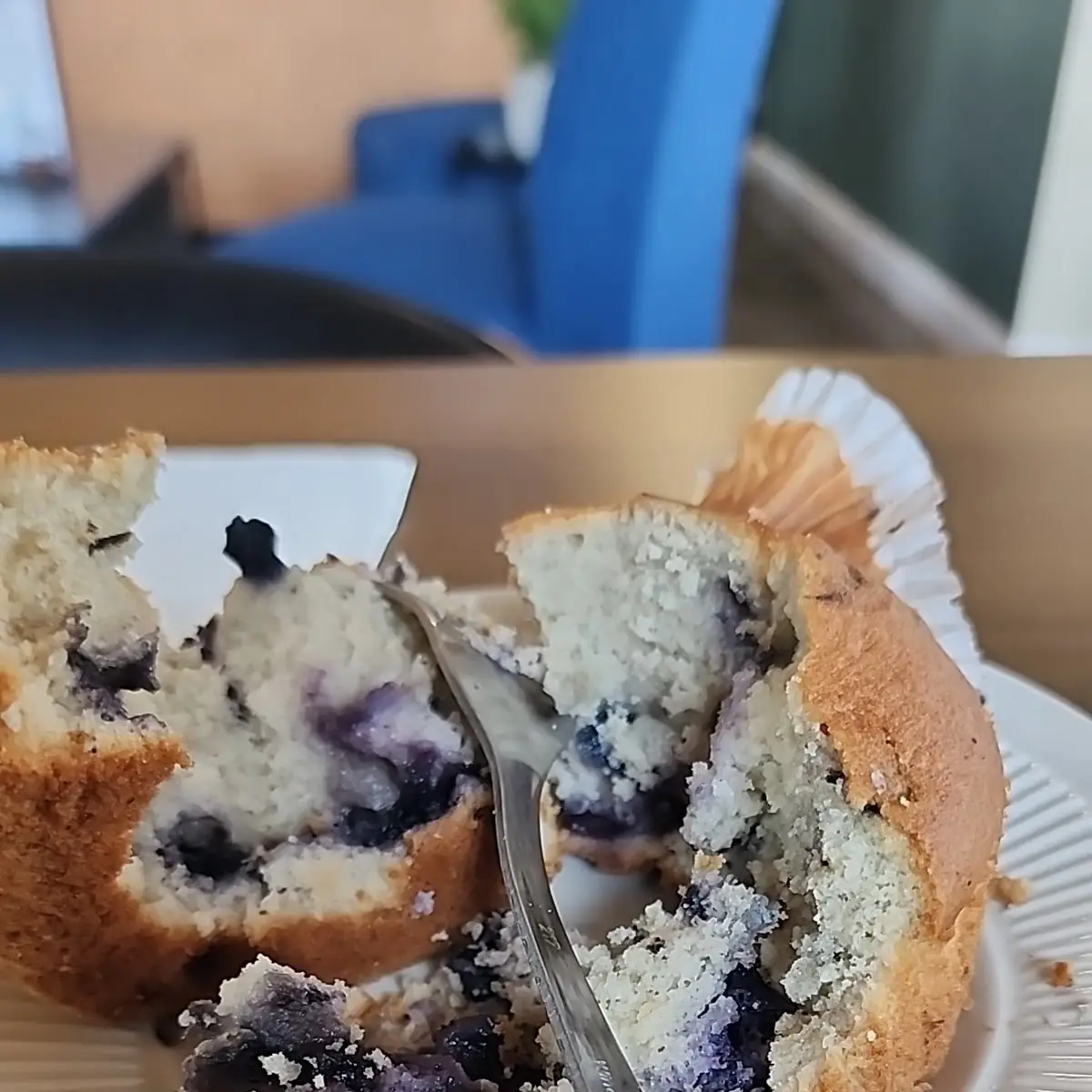 Blueberry Muffin