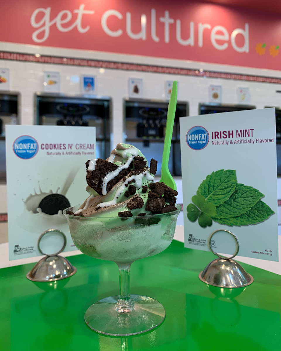 Chocolate Fudge Sorbet