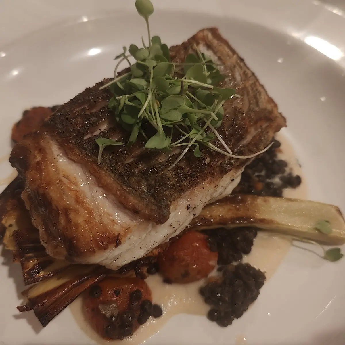 Pan Seared Sea Bass